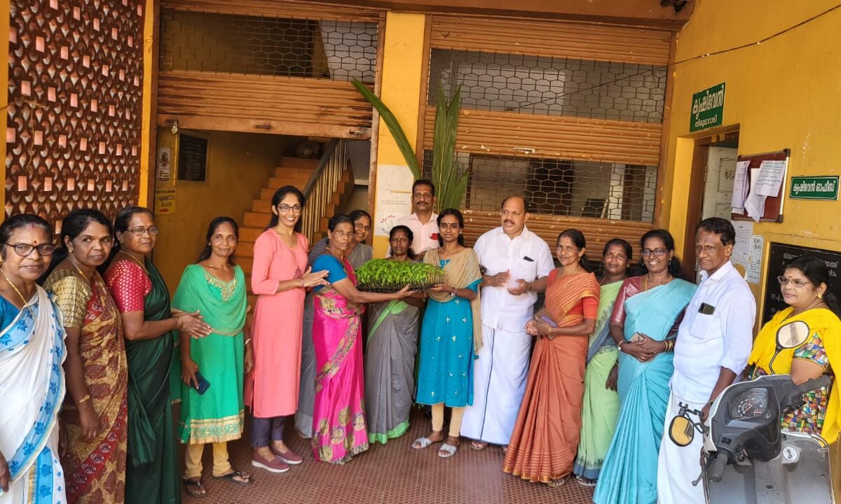 പച്ചക്കറി തൈ വിതരണം പഞ്ചായത്ത് പ്രസിഡന്റ്‌ അഡ്വ. സന്ധ്യാമോൾ പ്രകാശ് ഉദ്ഘാടനം ചെയ്തു