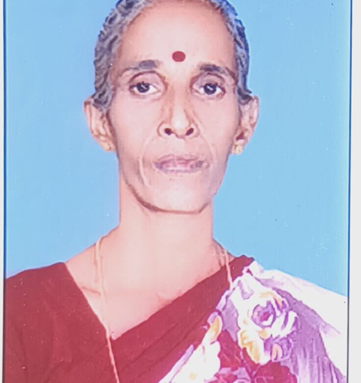 കാറിടിച്ചു ഗുരുതരമായി പരുക്കേറ്റ വായോധിക മരിച്ചു.