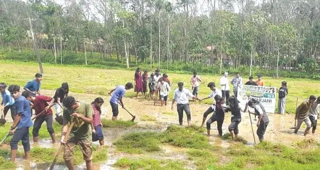 പാമ്പാക്കുട ഗ്രാമത്തില്‍ തരിശായിക്കിടന്ന പത്തേക്കറോളം പാടശേഖരം മുവാറ്റുപുഴ നിര്‍മല കോളജിലെ വിദ്യാര്‍ഥികള്‍ കൃഷിയോഗ്യമാക്കി
