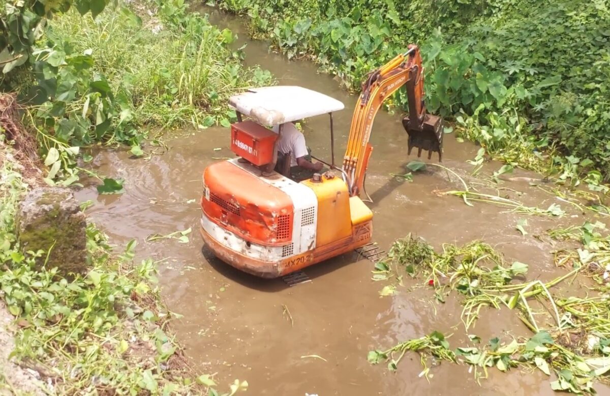 മഴയ്ക്ക് ശമനം വന്നതോടെ കൂത്താട്ടുകുളം നഗരസഭയിലെ ശുചീകരണ പ്രവർത്തനങ്ങൾ പുനരാരംഭിച്ചു