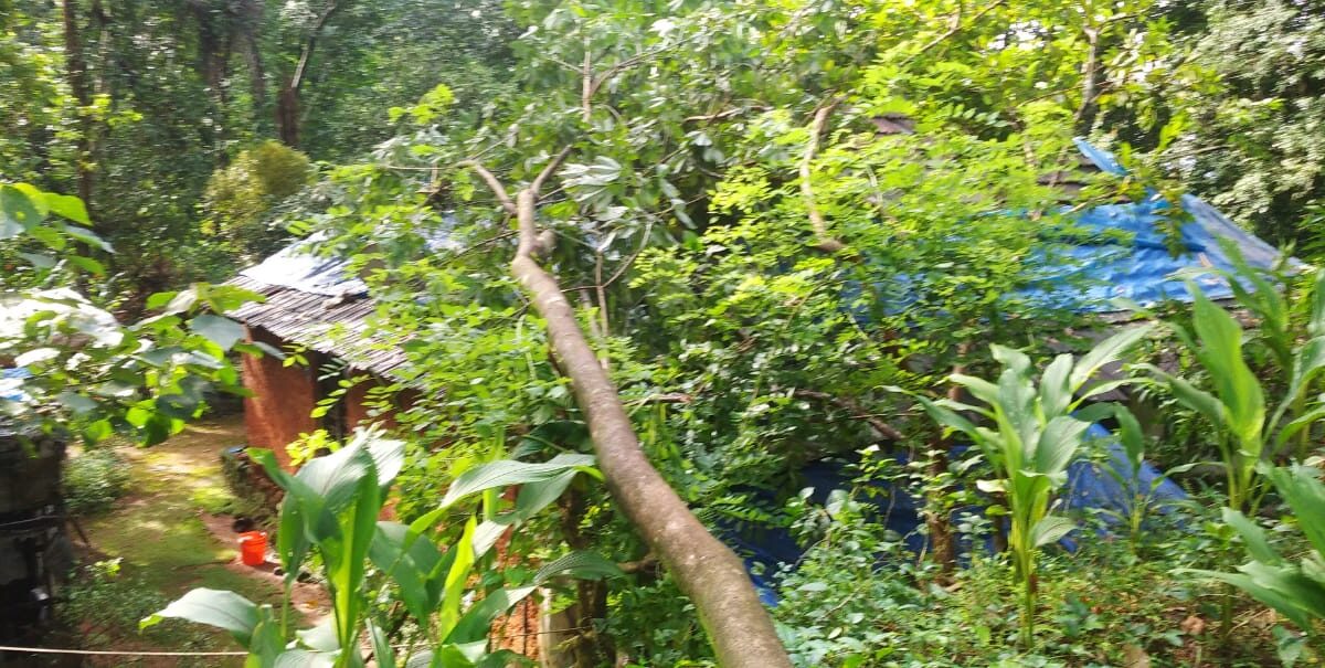 കാറ്റിലും മഴയിലും മേഖലയിൽ വൻ നാശനഷ്ടം