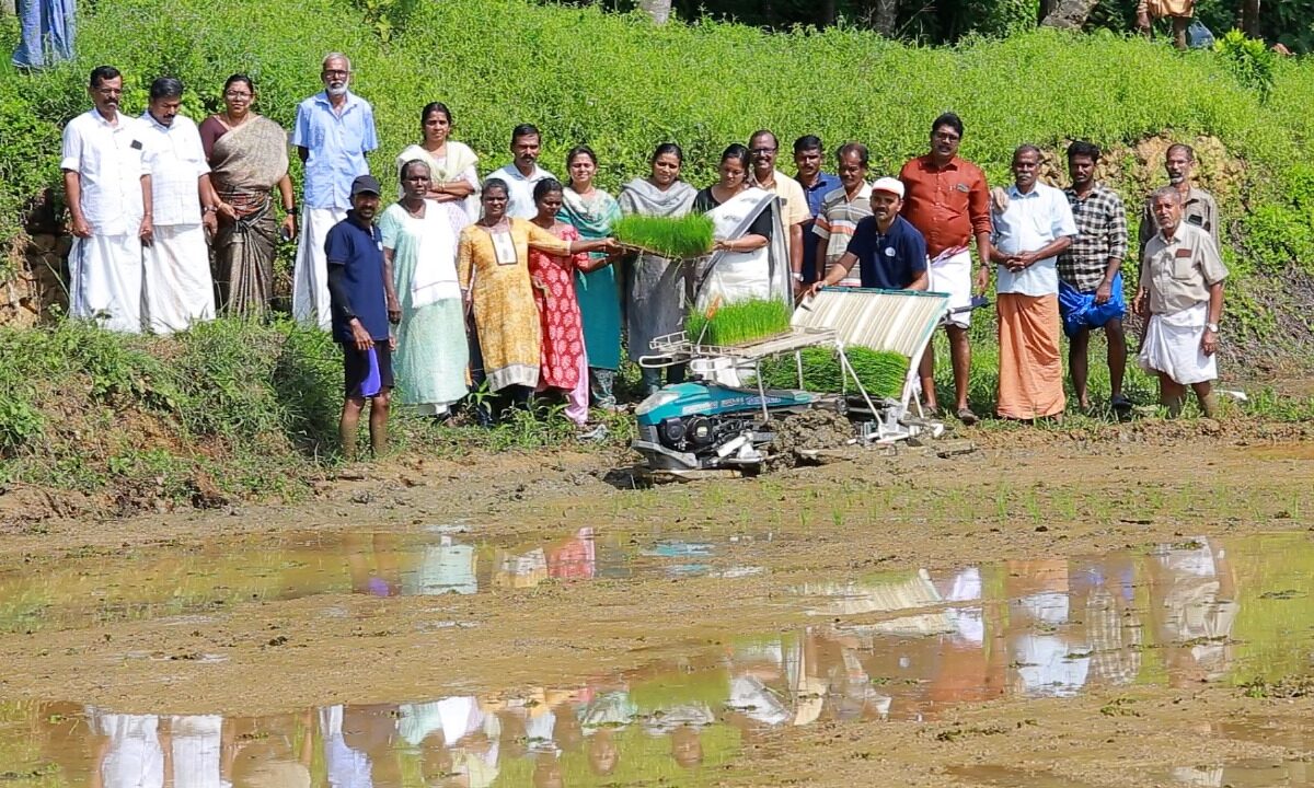 കാർഷിക കർമ്മ സേനയുടെ നേതൃത്വത്തിൽ നടീൽ യന്ത്രം ഉപയോഗിച്ച് ഞാറു നടീൽ നടത്തി.