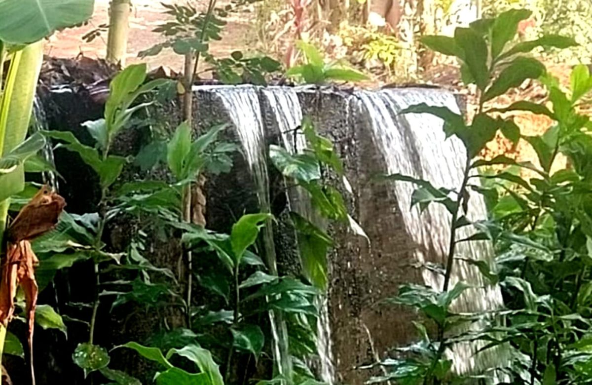 ചെട്ടിക്കണ്ടത്ത് കനാൽ നിറഞ്ഞൊഴുകുന്നു; കർഷകർ ദുരിതത്തിൽ