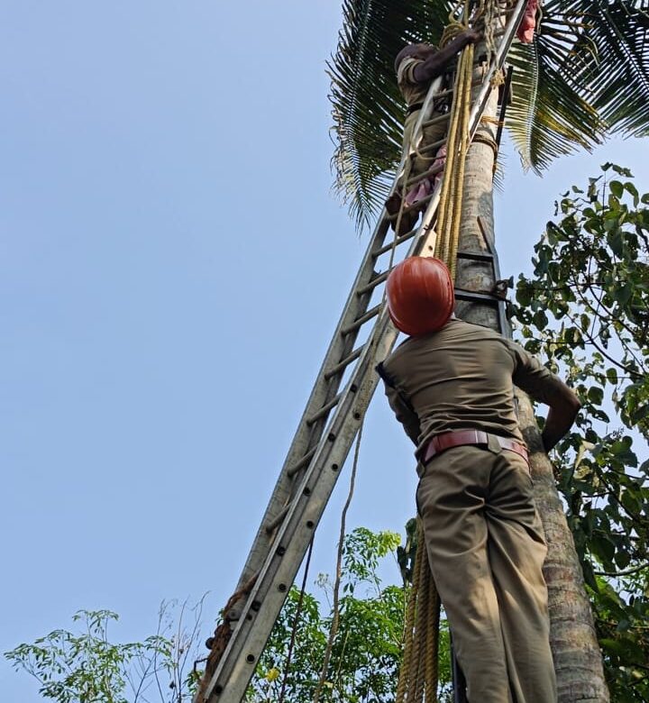തെങ്ങുകയറ്റ തൊഴിലാളിക്ക് രക്ഷകരായി അഗ്നി രക്ഷാ പ്രവർത്തകർ