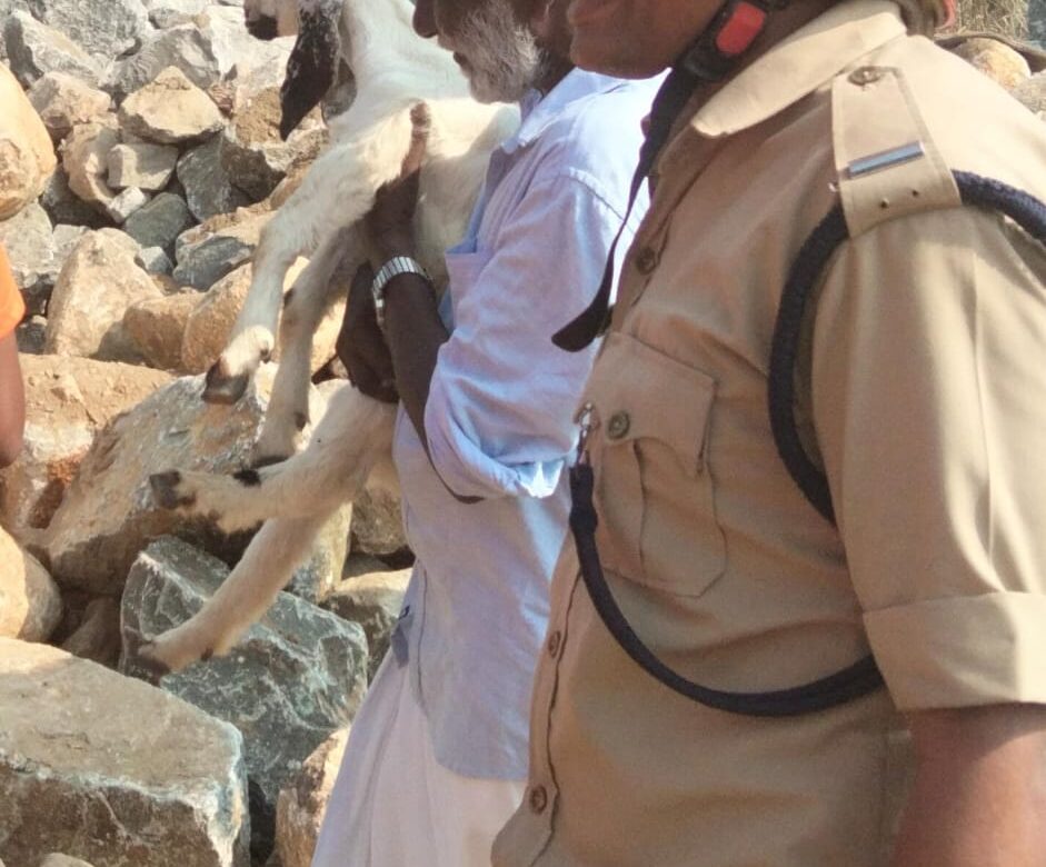 തെരുവ് നായ ആക്രമിക്കുന്നതിനിടെ കരിങ്കൽ ക്വാറിയിലെ പാറയിടുക്കിൽ വീണ ആട്ടിൻ കുട്ടിയെ രക്ഷപെടുത്തി