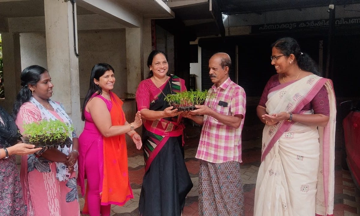 പുഷ്പ കൃഷി വ്യാപനം പാമ്പാക്കുടയിൽ ചെണ്ടുമല്ലി തൈകൾ വിതരണം